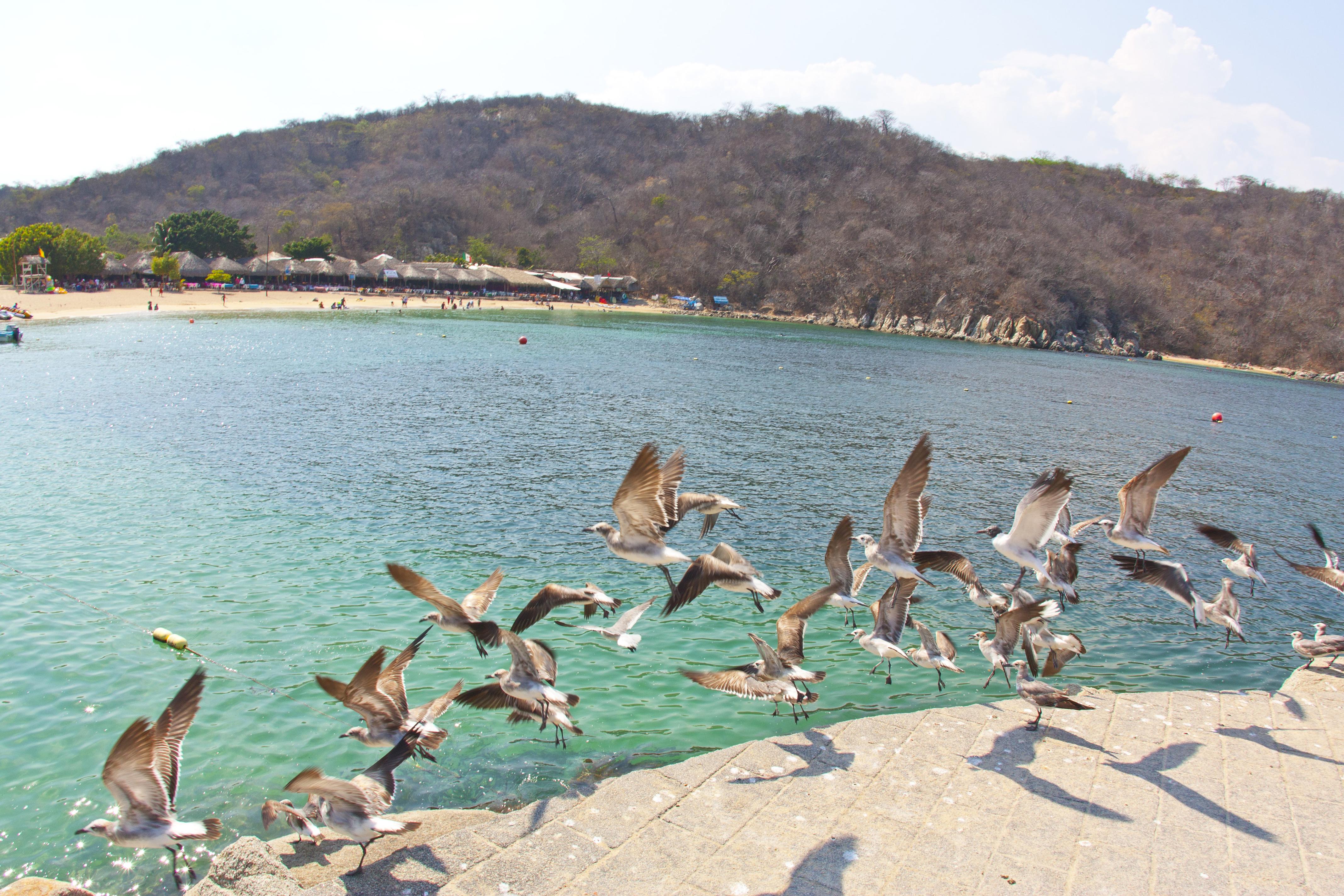 Villa Blanca Huatulco Santa Cruz Huatulco Εξωτερικό φωτογραφία